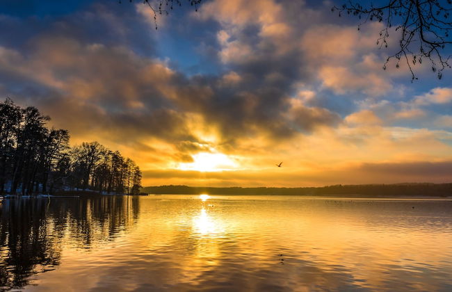 Schlosspark Bad Saarow - Foto 53