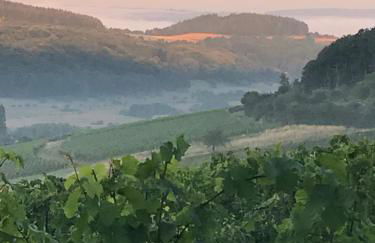 Ferienappartement Hennen - Foto 49