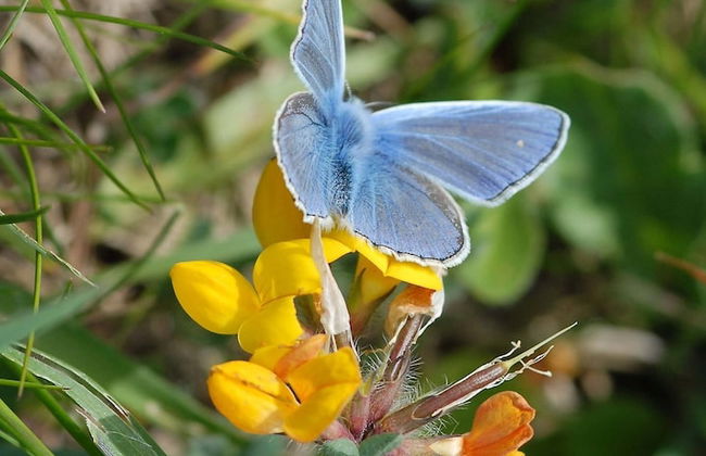 Casa Bi Rosario - Quinta Amoreira - Foto 42
