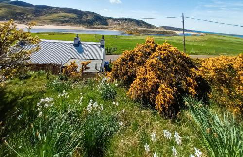 The Captains - Foto 10