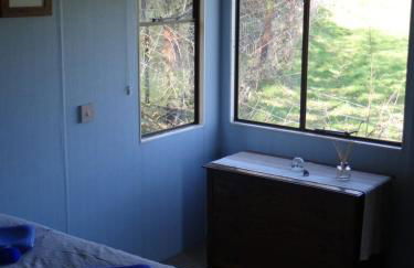 Canad Adar - Song of the Birds - Teifi Valley - Foto 24