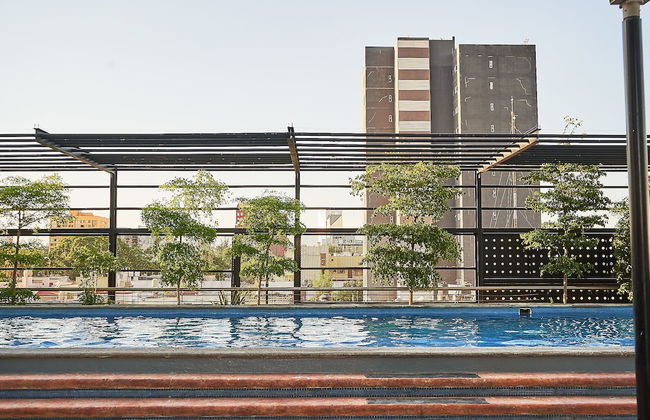 Dodo Horizontes Chapultepec - Foto 17