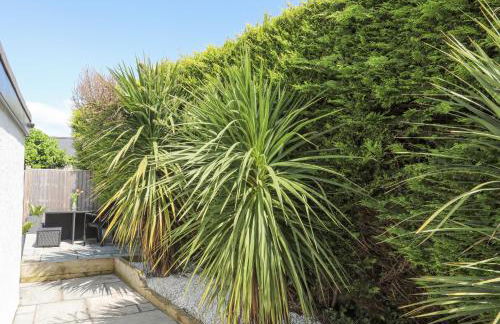 Bywyd Da 232 Cae Du - Foto 43