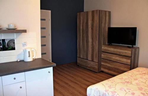 Apartamenty w Kamienicy - Foto 14