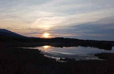 Ferienhaus zum Moosbauer - Foto 5