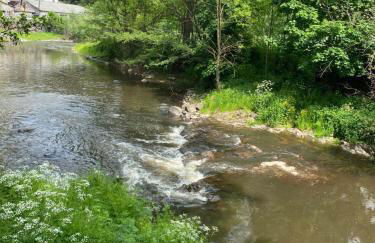 Charmant appartement au cœur des volcans d Auvergne - Photo 35