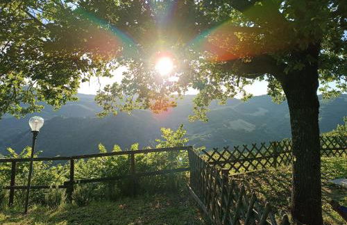 Country House Il Biroccio - Foto 39