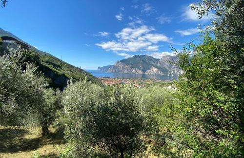 GARDA BALDO APARTMENTS - Photo 19