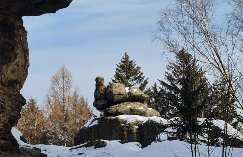 Urlaubsdomizil Am Töpfer - Ferienwohnungen in Olbersdorf - Foto 64