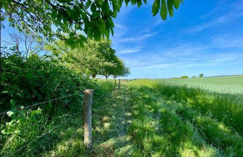 NOXi 90qm Carport Küche WiFi Washer Kamin - Foto 35