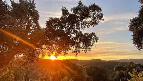 Forest House Oku - Foto 1