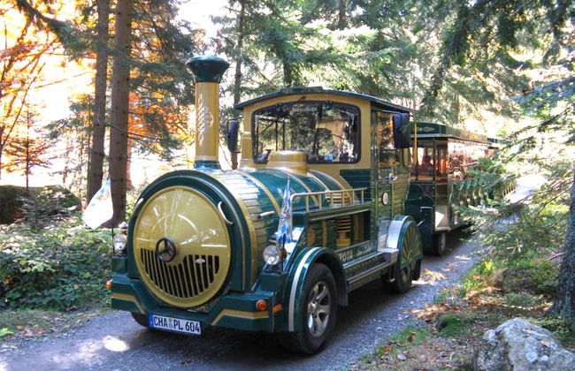 Apartment in Langdorf Near Ski Trails - Foto 30