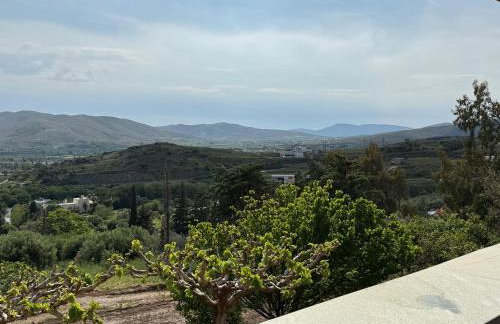 Villa Esperia - Foto 35