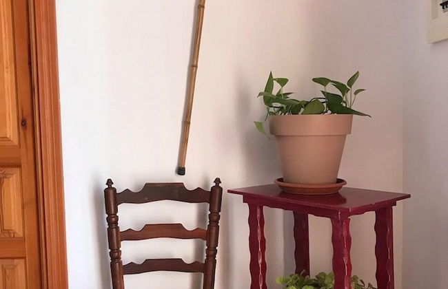 Casa Teatro RAICES - Foto 11