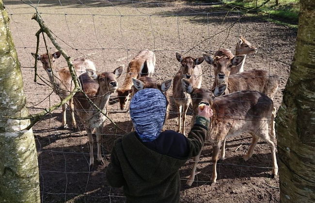 Coastal View of East Frisia - Foto 28
