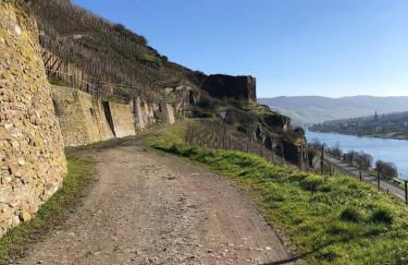 Citystudio 3 Rosenburgblick in Moselnähe - Foto 12