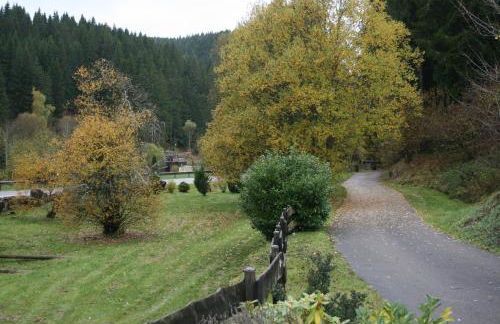 Ferienwohnungen Steinhäusle - Photo 13