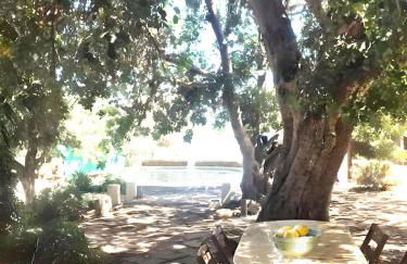 La Casa del Carrubo con Piscina condivisa in campagna vicino al mare - Canestanco 18 - Foto 63