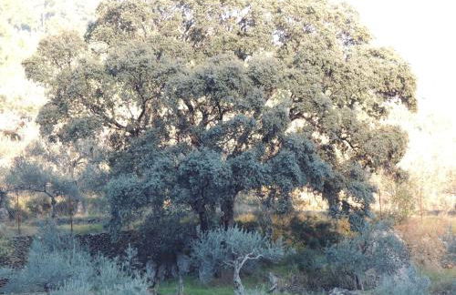 Casa Rural El Chorritero - Foto 63