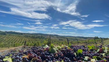 Casal de' Matti - Casa Margot - Foto 3