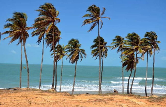 Excursão à praia de Lagoinha - Photo 5