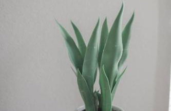 Helotes Serenity-Luxury 3bed/2.5 bath 2300 sq foot - Foto 24