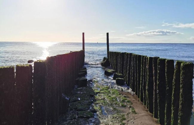 Modern Bungalow With two Bathrooms, Near the Beach - Photo 36