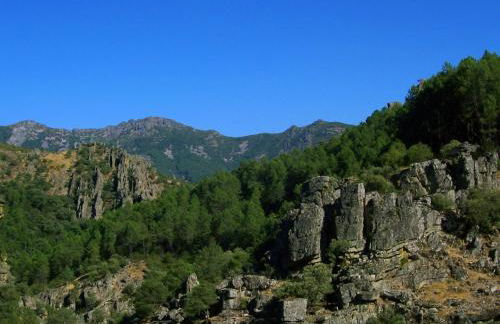 Apartamento La Muralla - Foto 14