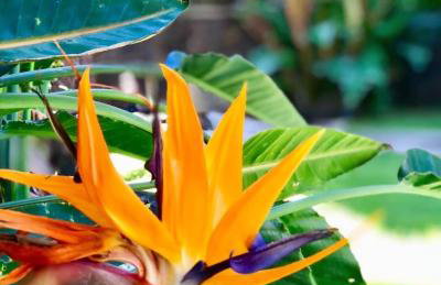 Oceanfront Stay w/ AC, BBQ, Washer/Dryer & Kitchen - Foto 8