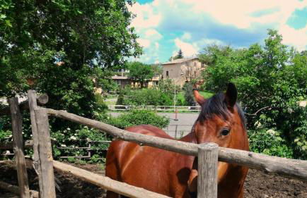 Agriturismo San Filippo - Foto 20