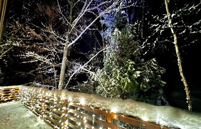 Hauser's Bayfield Cabin - Foto 13