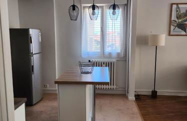 Berges du Léman-cœur de Thonon - Foto 14