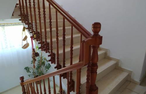 ARTEMIS and FILLO - Photo 5