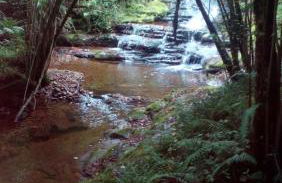 La Casa de Consuelo 3 - Foto 62