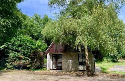 St Ives Bluebell Cottage - Foto 22