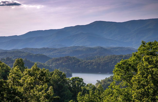 Luxury 3 2 5 Cabin Lake Views Theatre Gameroom - Foto 58