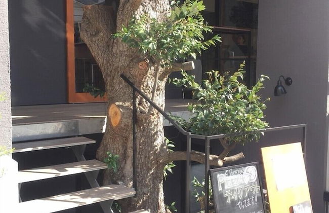 Treeside Hotel & Apartment - Foto 23