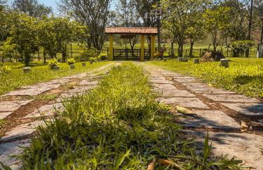 Sítio Bosque das Palmeiras - Foto 8