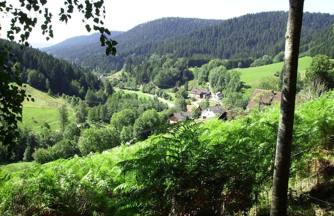 Charmantes, Einladendes Ferienhaus in Toller Natur - Foto 34