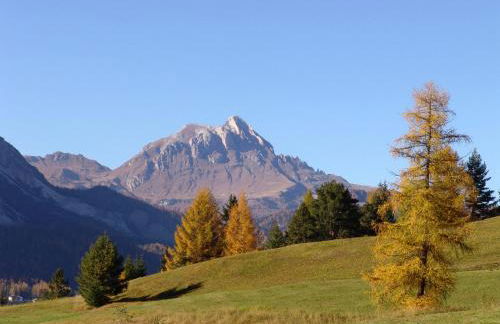 Apartments Serghela - Photo 20