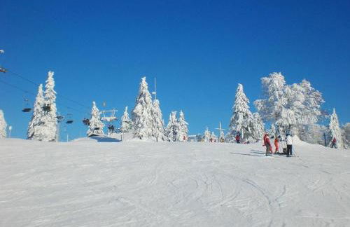 Apartment Birkenhain by Interhome - Foto 7