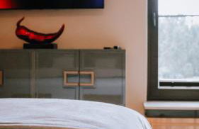 Hollands Pfefferhaus Wein Wald&Weitblick 2SZ Klimaanlage Terrasse Fahrradgarage - Foto 36