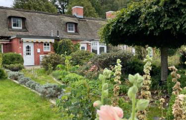 Reetdachhaus in Seenähe, Ruhige Lage, Kamin & Terrasse - Foto 27