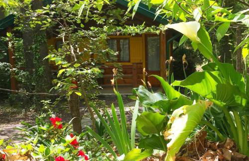 CHALET ETNA MILO - Foto 32