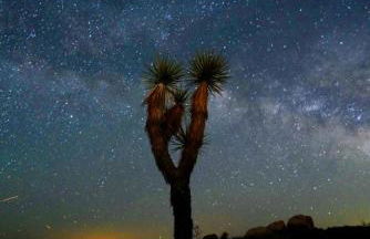 Landers Space Station - Foto 41