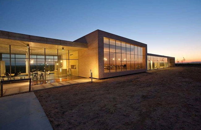 Visite des caves à vin de la Finca Montepedroso - Photo 6