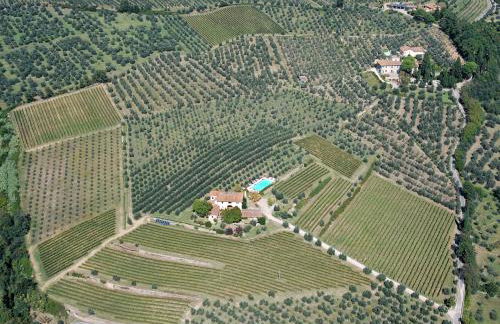 Agriturismo Biologico Poggiopiano - Foto 11