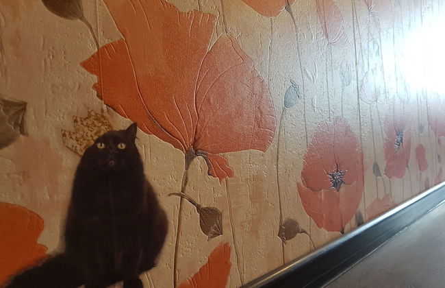 Zhukovsky apartment - Foto 16