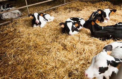 Zubeltzu Torre - Photo 34