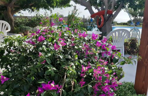 Viena Rooms & Apartments - Foto 9